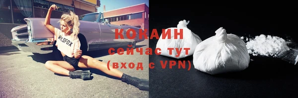 дживик Арсеньев